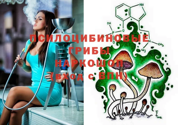 стафф Абинск
