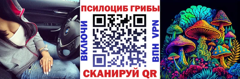 закладка  Ханты-Мансийск  Галлюциногенные грибы MAGIC MUSHROOMS 